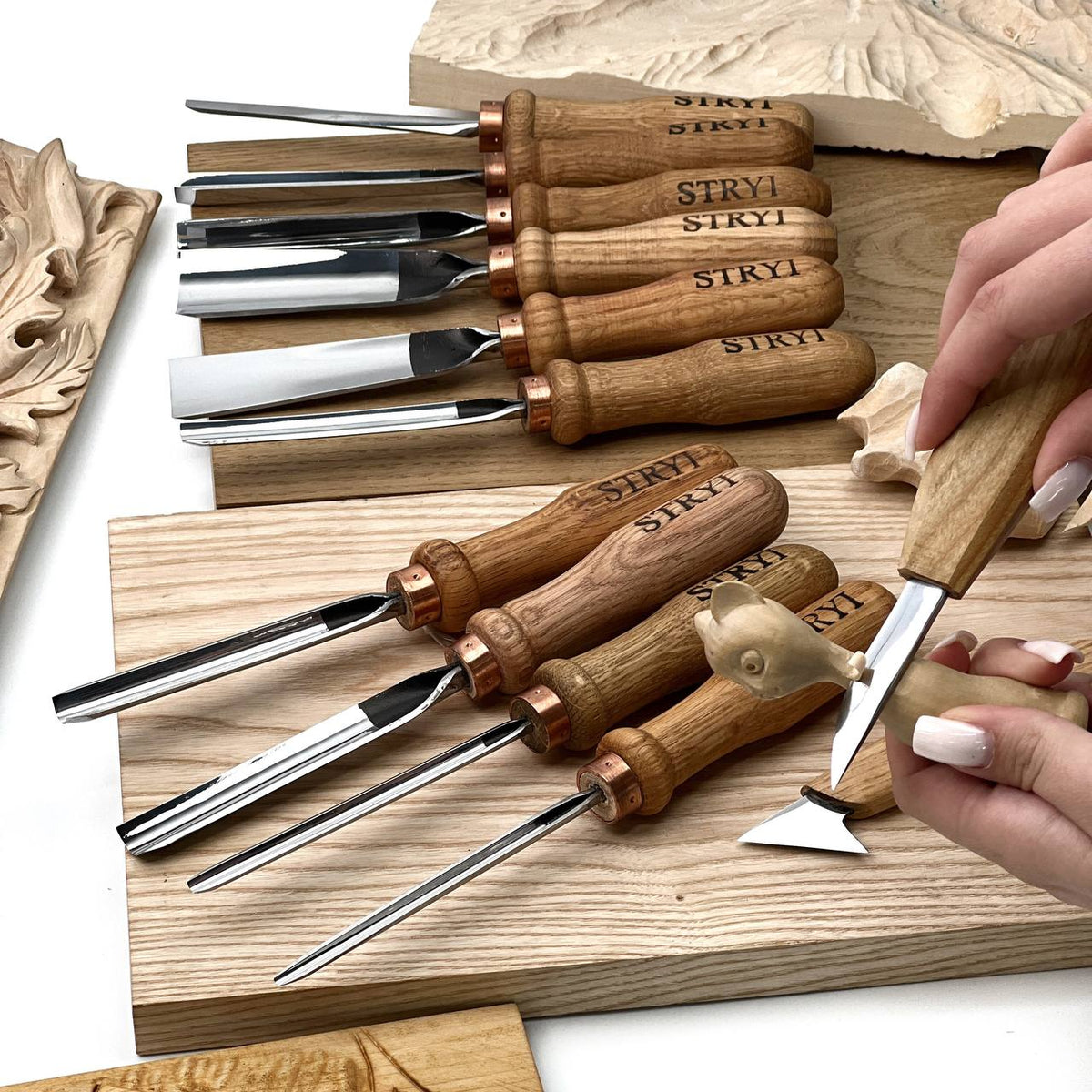 Professional Wood Carving Tool Set, 12-Piece STRYI Profi Kit
