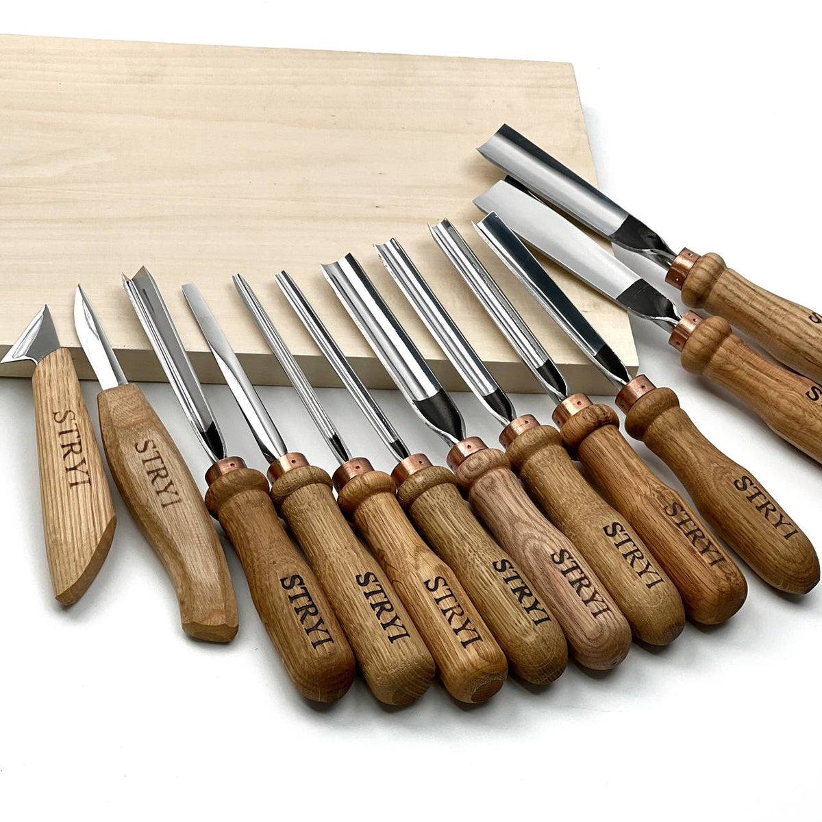 Professional Wood Carving Tool Set, 12-Piece STRYI Profi Kit